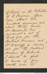 Nachlass Franz Steindachner, Brief von Norton Smith an Franz Steindachner (01.08.1906), Inv.Nr. 493.01, Seite 2